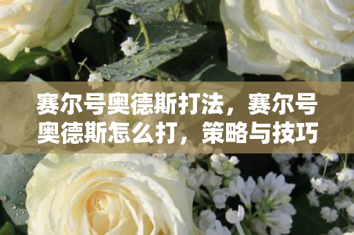 赛尔号奥德斯打法,赛尔号奥德斯怎么打,策略与技巧详解 赛尔号奥德斯打法,赛尔号奥德斯怎么打,策略与技巧详解