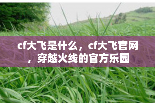 cf大飞是什么,cf大飞官网,穿越火线的官方乐园 cf大飞是什么,cf大飞官网,穿越火线的官方乐园