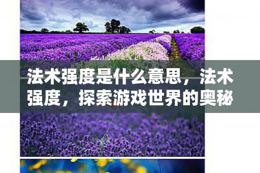 法术强度是什么意思，法术强度，探索游戏世界的奥秘
