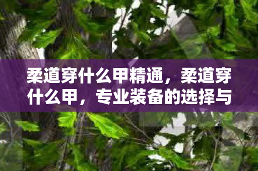 柔道穿什么甲精通,柔道穿什么甲,专业装备的选择与搭配 柔道穿什么甲精通,柔道穿什么甲,专业装备的选择与搭配