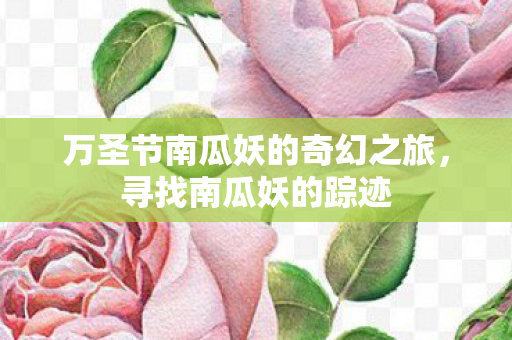 万圣节南瓜妖的奇幻之旅，寻找南瓜妖的踪迹