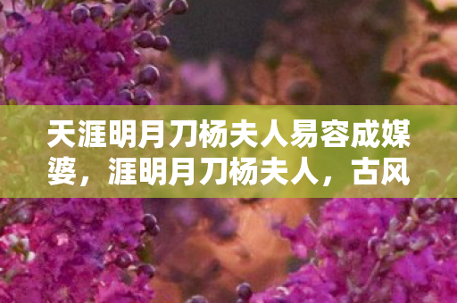 天涯明月刀杨夫人易容成媒婆，涯明月刀杨夫人，古风韵致与游戏世界的完美融合