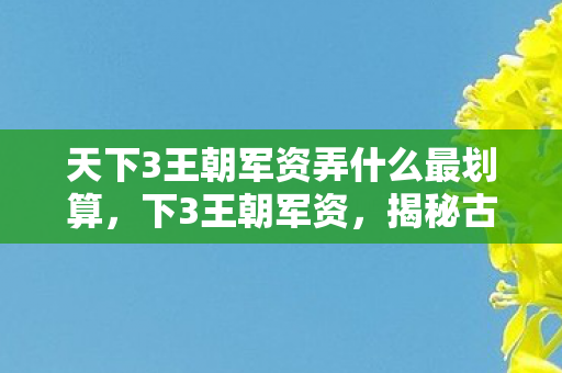 天下3王朝军资弄什么最划算，下3王朝军资，揭秘古代军事力量的巅峰