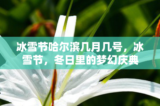 冰雪节哈尔滨几月几号,冰雪节,冬日里的梦幻庆典 冰雪节哈尔滨几月几号,冰雪节,冬日里的梦幻庆典