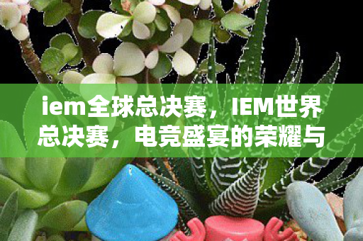 iem全球总决赛，IEM世界总决赛，电竞盛宴的荣耀与挑战