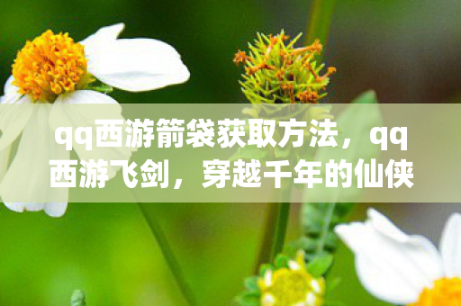 qq西游箭袋获取方法,qq西游飞剑,穿越千年的仙侠之旅 qq西游箭袋获取方法,qq西游飞剑,穿越千年的仙侠之旅