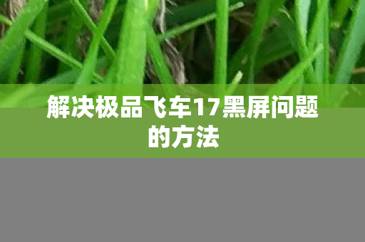 解决极品飞车17黑屏问题的方法 解决极品飞车17黑屏问题的方法