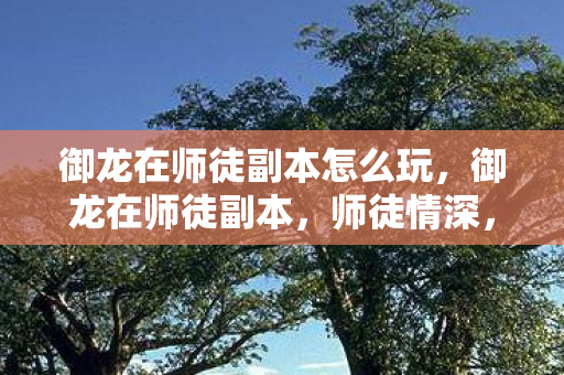 御龙在师徒副本怎么玩,御龙在师徒副本,师徒情深,共闯江湖 御龙在师徒副本怎么玩,御龙在师徒副本,师徒情深,共闯江湖