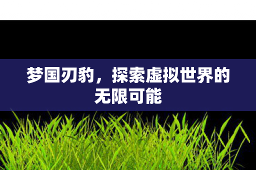 梦国刃豹,探索虚拟世界的无限可能 梦国刃豹,探索虚拟世界的无限可能