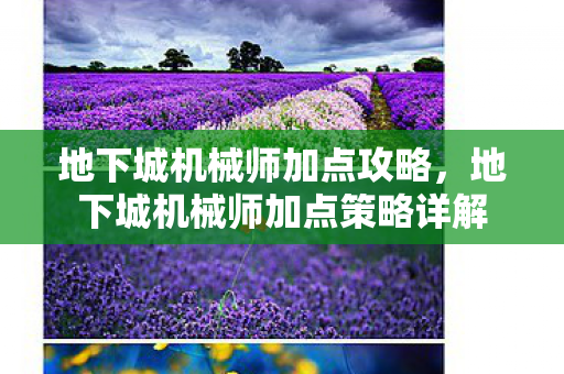 地下城机械师加点攻略,地下城机械师加点策略详解 地下城机械师加点攻略,地下城机械师加点策略详解