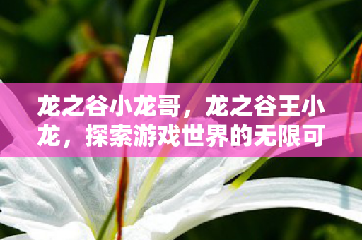 龙之谷小龙哥,龙之谷王小龙,探索游戏世界的无限可能 龙之谷小龙哥,龙之谷王小龙,探索游戏世界的无限可能