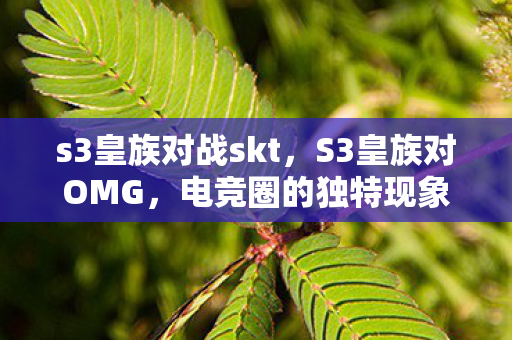 s3皇族对战skt,S3皇族对OMG,电竞圈的独特现象与文化碰撞 s3皇族对战skt,S3皇族对OMG,电竞圈的独特现象与文化碰撞