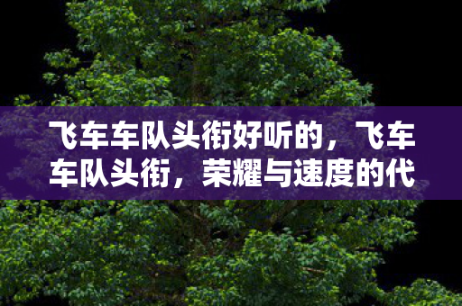 飞车车队头衔好听的,飞车车队头衔,荣耀与速度的代名词 飞车车队头衔好听的,飞车车队头衔,荣耀与速度的代名词