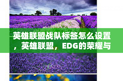 英雄联盟战队标签怎么设置,英雄联盟,EDG的荣耀与传承 英雄联盟战队标签怎么设置,英雄联盟,EDG的荣耀与传承