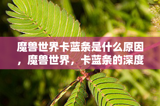 魔兽世界卡蓝条是什么原因,魔兽世界,卡蓝条的深度解析与应对策略 魔兽世界卡蓝条是什么原因,魔兽世界,卡蓝条的深度解析与应对策略