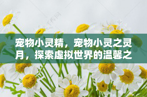 宠物小灵精，宠物小灵之灵月，探索虚拟世界的温馨之旅