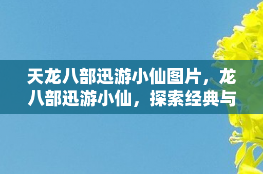 天龙八部迅游小仙图片,龙八部迅游小仙,探索经典与创新的武侠之旅 天龙八部迅游小仙图片,龙八部迅游小仙,探索经典与创新的武侠之旅