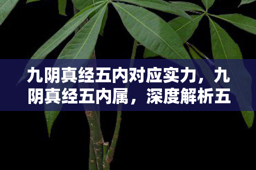 九阴真经五内对应实力,九阴真经五内属,深度解析五内属性与修炼策略 九阴真经五内对应实力,九阴真经五内属,深度解析五内属性与修炼策略