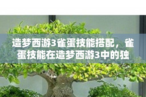 造梦西游3雀蛋技能搭配,雀蛋技能在造梦西游3中的独特魅力 造梦西游3雀蛋技能搭配,雀蛋技能在造梦西游3中的独特魅力
