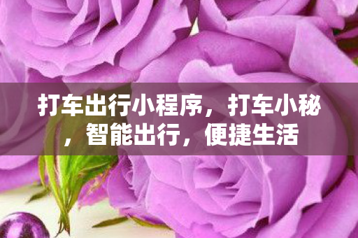 打车出行小程序,打车小秘,智能出行,便捷生活 打车出行小程序,打车小秘,智能出行,便捷生活