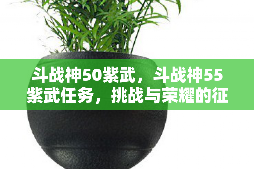 斗战神50紫武,斗战神55紫武任务,挑战与荣耀的征程 斗战神50紫武,斗战神55紫武任务,挑战与荣耀的征程