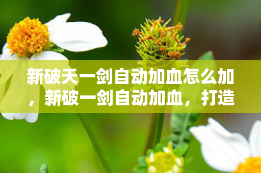 新破天一剑自动加血怎么加，新破一剑自动加血，打造高效战斗体验
