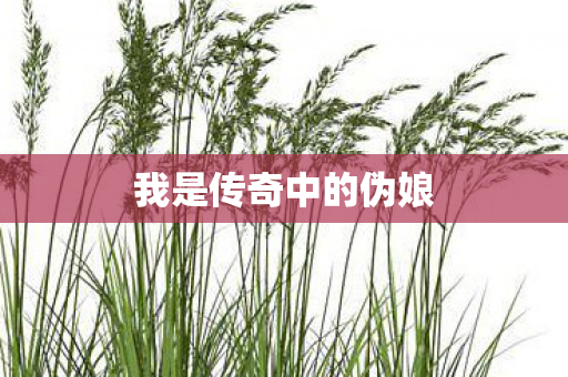 我是传奇中的伪娘
