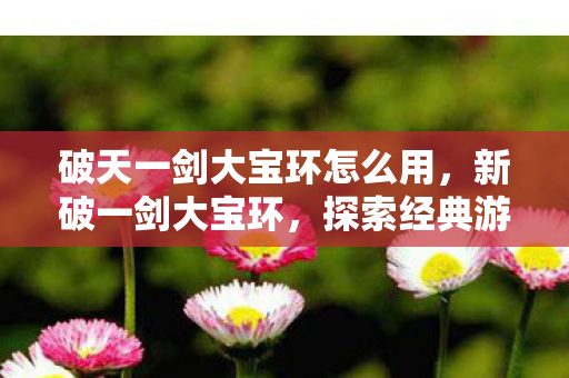 破天一剑大宝环怎么用,新破一剑大宝环,探索经典游戏的魅力与传承 破天一剑大宝环怎么用,新破一剑大宝环,探索经典游戏的魅力与传承