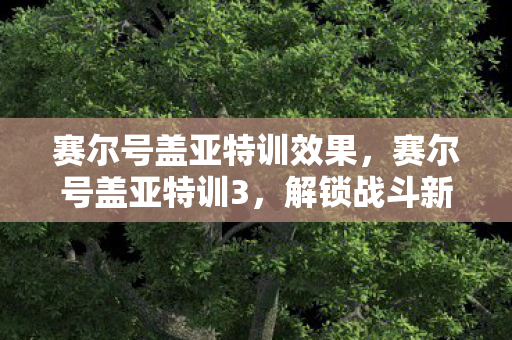 赛尔号盖亚特训效果,赛尔号盖亚特训3,解锁战斗新境界 赛尔号盖亚特训效果,赛尔号盖亚特训3,解锁战斗新境界