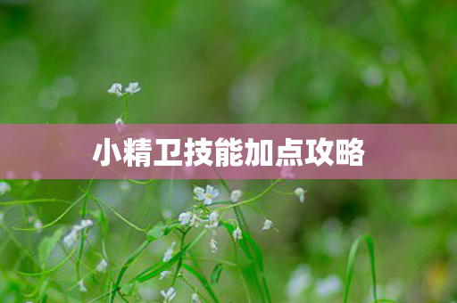 小精卫技能加点攻略