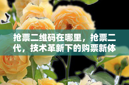抢票二维码在哪里,抢票二代,技术革新下的购票新体验 抢票二维码在哪里,抢票二代,技术革新下的购票新体验