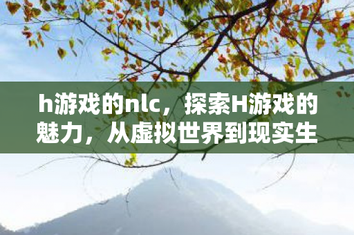 h游戏的nlc，探索H游戏的魅力，从虚拟世界到现实生活的桥梁