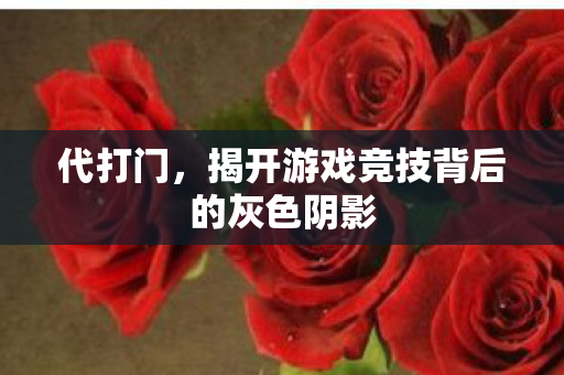 代打门,揭开游戏竞技背后的灰色阴影 代打门,揭开游戏竞技背后的灰色阴影
