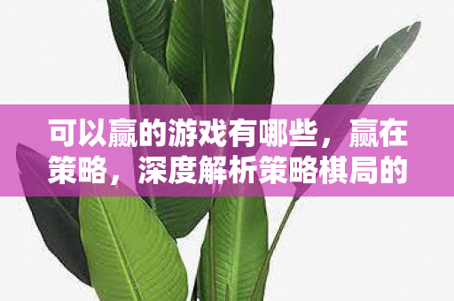可以赢的游戏有哪些,赢在策略,深度解析策略棋局的奥秘 可以赢的游戏有哪些,赢在策略,深度解析策略棋局的奥秘
