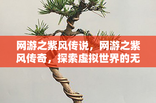 网游之紫风传说,网游之紫风传奇,探索虚拟世界的无尽魅力 网游之紫风传说,网游之紫风传奇,探索虚拟世界的无尽魅力