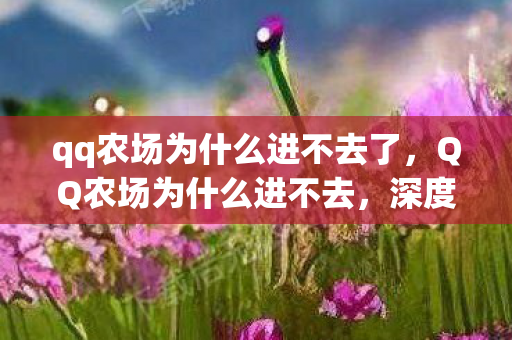 qq农场为什么进不去了,QQ农场为什么进不去,深度解析与解决方案 qq农场为什么进不去了,QQ农场为什么进不去,深度解析与解决方案