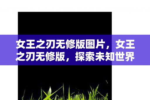 女王之刃无修版图片,女王之刃无修版,探索未知世界的奇幻之旅 女王之刃无修版图片,女王之刃无修版,探索未知世界的奇幻之旅