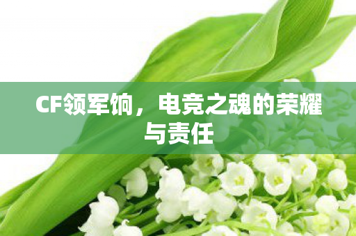 CF领军饷,电竞之魂的荣耀与责任 CF领军饷,电竞之魂的荣耀与责任