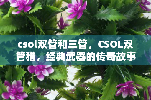 csol双管和三管,CSOL双管猎,经典武器的传奇故事 csol双管和三管,CSOL双管猎,经典武器的传奇故事