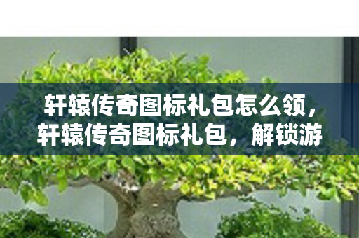 轩辕传奇图标礼包怎么领,轩辕传奇图标礼包,解锁游戏新世界的钥匙 轩辕传奇图标礼包怎么领,轩辕传奇图标礼包,解锁游戏新世界的钥匙