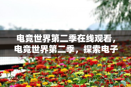 电竞世界第二季在线观看,电竞世界第二季,探索电子竞技的无限可能 电竞世界第二季在线观看,电竞世界第二季,探索电子竞技的无限可能
