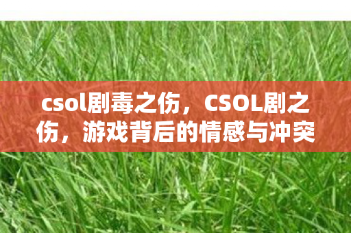 csol剧毒之伤,CSOL剧之伤,游戏背后的情感与冲突 csol剧毒之伤,CSOL剧之伤,游戏背后的情感与冲突