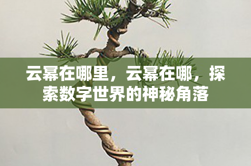 云幂在哪里，云幂在哪，探索数字世界的神秘角落