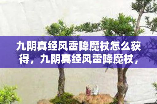九阴真经风雷降魔杖怎么获得，九阴真经风雷降魔杖，探寻武侠世界的神秘神兵