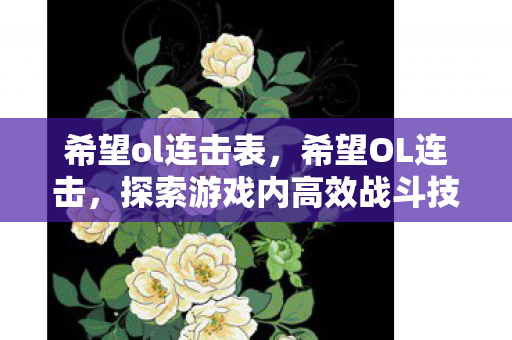希望ol连击表,希望OL连击,探索游戏内高效战斗技巧 希望ol连击表,希望OL连击,探索游戏内高效战斗技巧