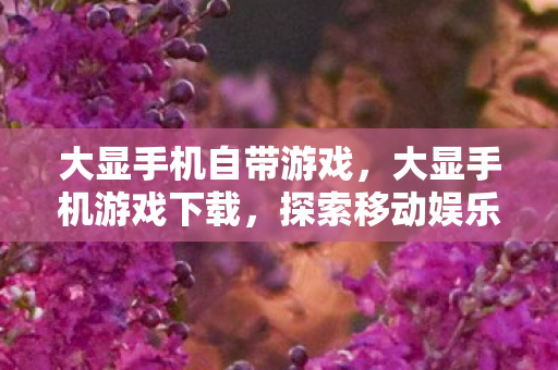 大显手机自带游戏,大显手机游戏下载,探索移动娱乐新境界 大显手机自带游戏,大显手机游戏下载,探索移动娱乐新境界