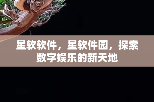 星软软件，星软件园，探索数字娱乐的新天地