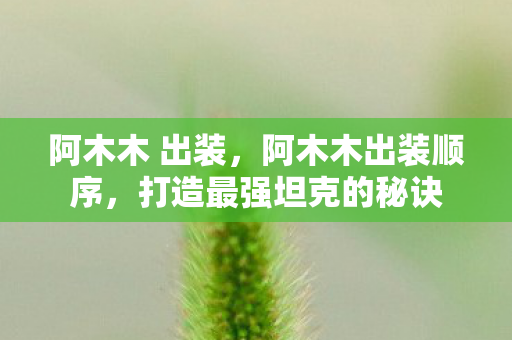 阿木木 出装,阿木木出装顺序,打造最强坦克的秘诀 阿木木 出装,阿木木出装顺序,打造最强坦克的秘诀