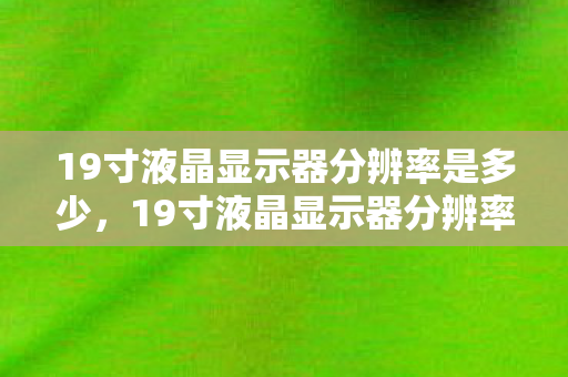 19寸液晶显示器分辨率是多少，19寸液晶显示器分辨率，解析高清视界的多重维度
