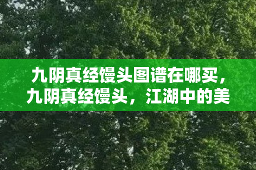 九阴真经馒头图谱在哪买,九阴真经馒头,江湖中的美食传奇 九阴真经馒头图谱在哪买,九阴真经馒头,江湖中的美食传奇
